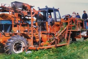 Carrot harvester in field